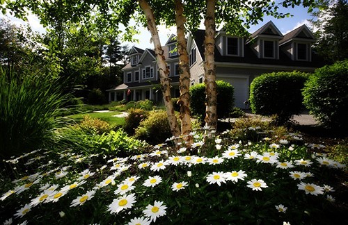 Flowers, Trees and Shrubs in Front of Houses