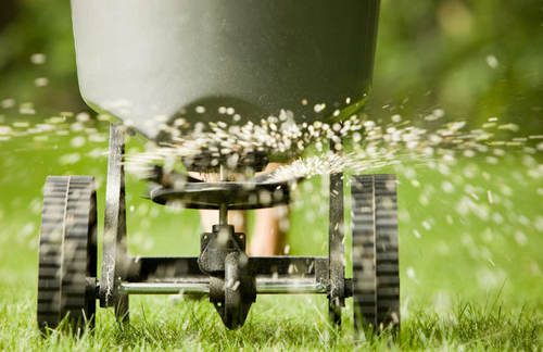 Grass overseeding service done by Grass Master