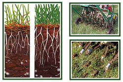 lawn aeration diagram