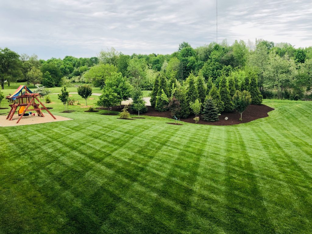 Lawn Care Utah