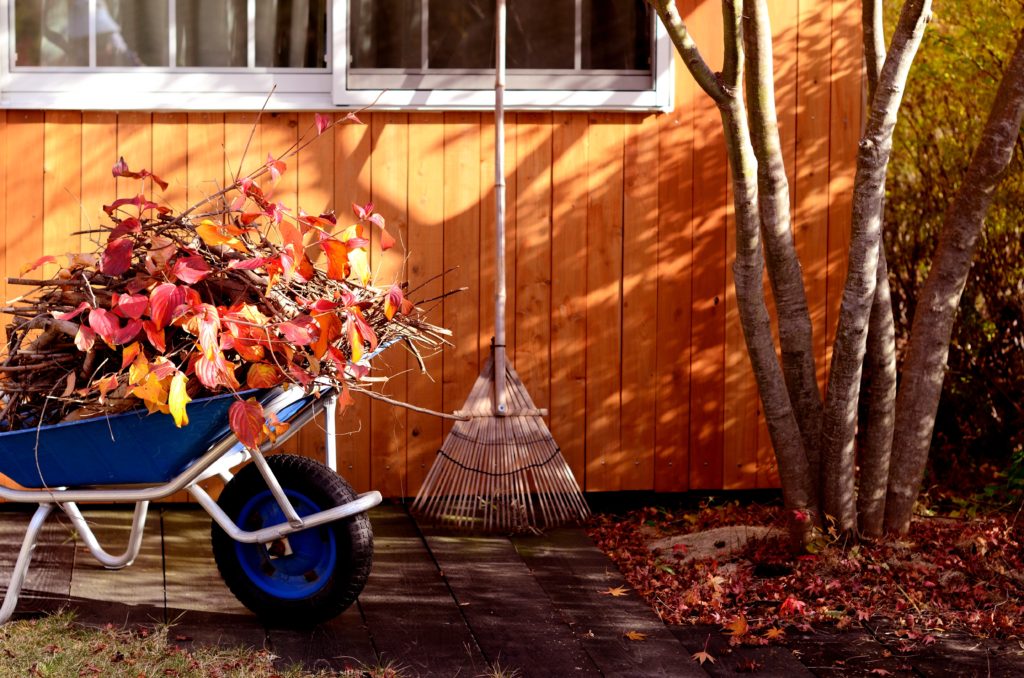 Wheelbarrow filled with leaves and rake leaning on the side of a house
