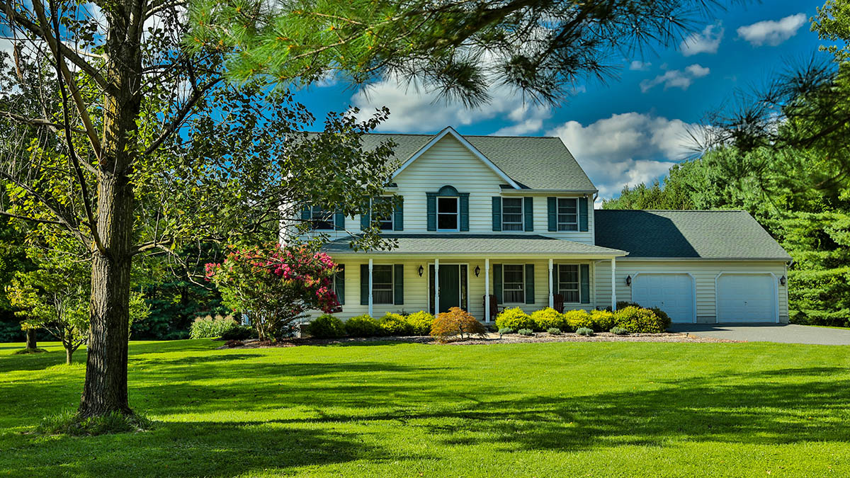 green grass in a front lawn