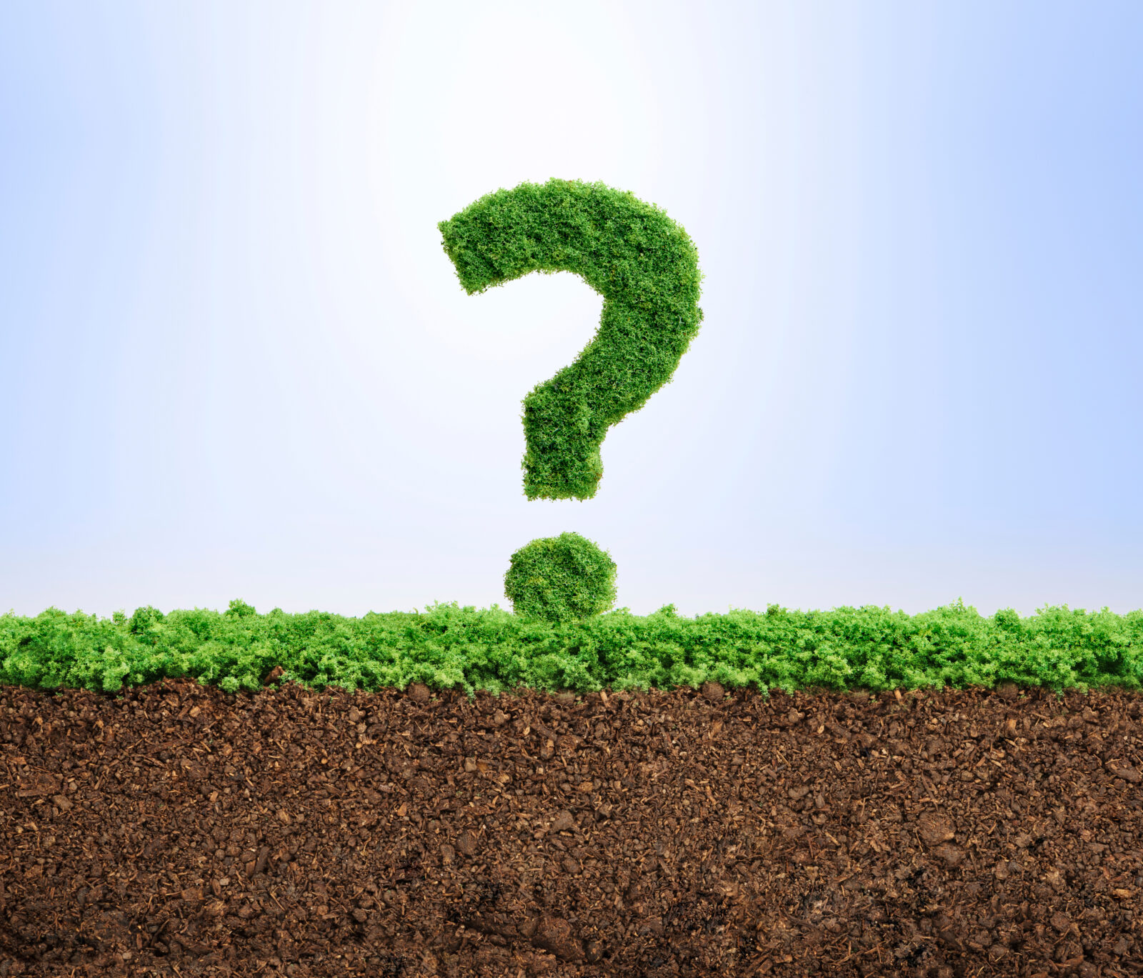 Grass Questions