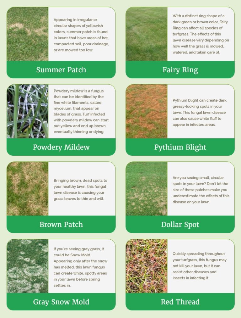 Grass Master Lawn Disease Chart