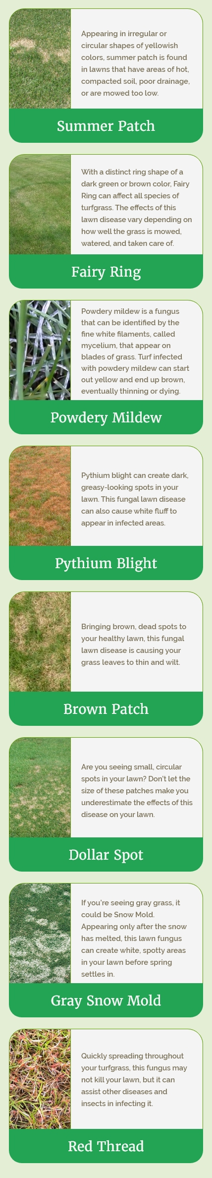 Grass Master Lawn Disease Chart - Mobile