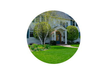 Lawn rejuvenation lawn care service.