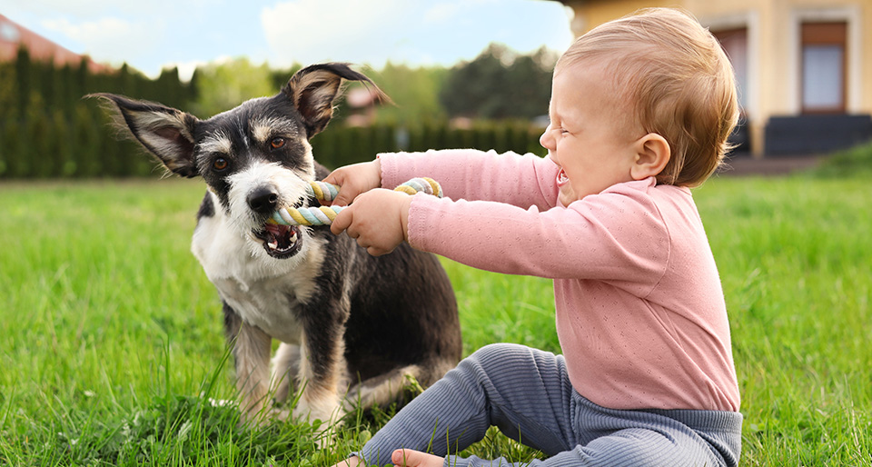 Grass Master Flea & Tick Program Promotion