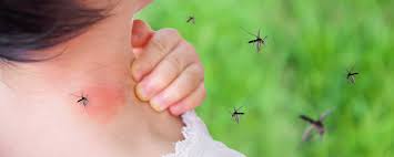 Protect your home with Grass Master mosquito control.
