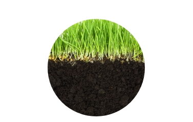 Our lawn aeration services help your grass absorb nutrients
