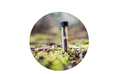A soil test in a test tube for lime application