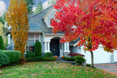 A healthy early fall Northeast Ohio residential lawn that followed fall lawn care steps from Grass Master.