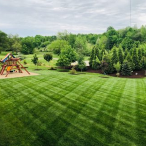 Karcher lawn care testimonial