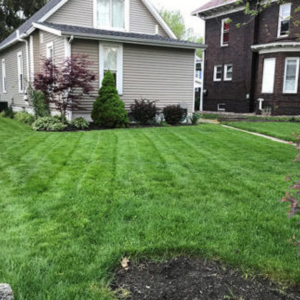 Grass Master improves Northeast Ohio resident's yard.