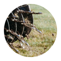 Lawn aeration - Lawn care in Canal Fulton, Ohio
