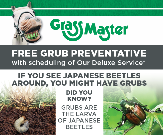 Free Grub Preventative with Grass Master