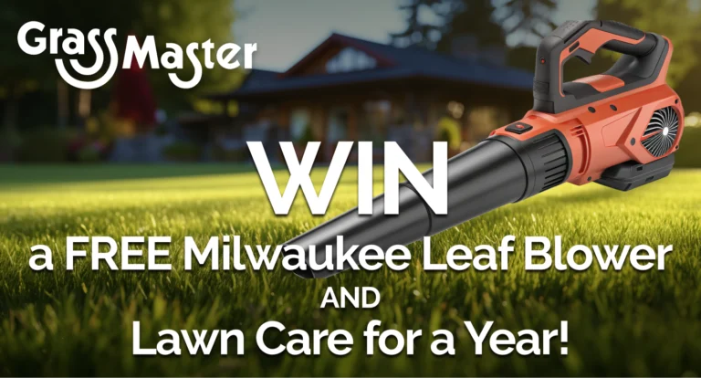 Grass Master Lawn Competition
