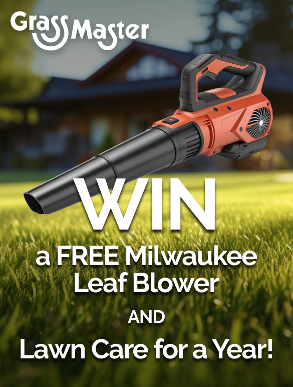 Grass Master Lawn Competition