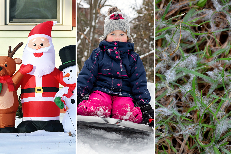 Taking steps now to prevent winter lawn damage can combat issues in spring.