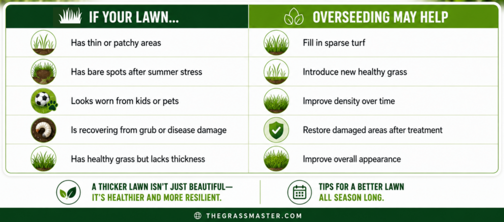 Infographic showing how overseeding can improve lawns with thin or patchy grass, bare spots, wear from kids or pets, grub or disease damage, or a lack of thickness by filling sparse turf, adding healthy grass, improving density, restoring damaged areas, and enhancing overall appearance.