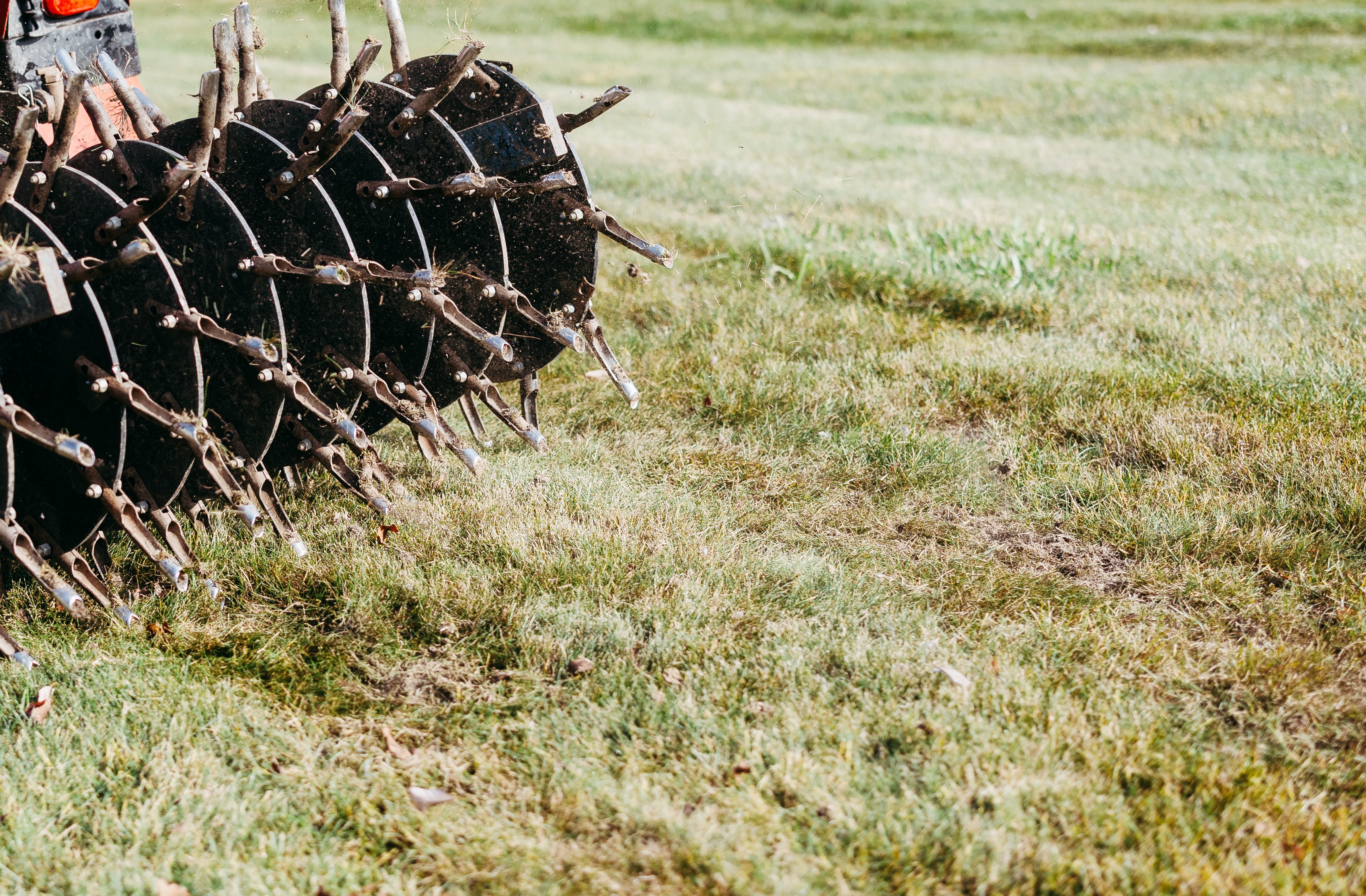 Close-up of a core aerator removing soil plugs from a residential lawn during lawn aeration.